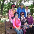 파워포인터 이미지