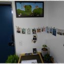 정원펜션 | 천안펜션추천 자연 속 힐링, 천안 별꽃정원펜션 후기