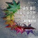 서계리숲 이미지