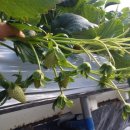 진주산소 이미지