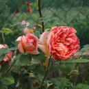 (주)정원 이미지