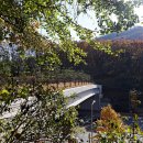 생태다리 이미지