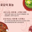 맛있는곶감농원