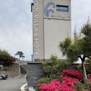 프래밀리가족호텔 | 거제 오션뷰 힐링 여행 — 반견 동반 가능한 “프래밀리 풀빌라 호텔” 후기