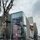 성지세탁 | 강남혼수성지 LG전자 플래그십 D5 방문후기! 강남 이사가전 구경하고 왔어요