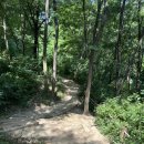 참조은과일