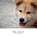 같이