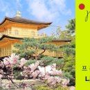 나나관광