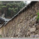 고색창연 이미지