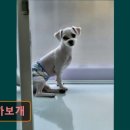 까까보개 - 수성구 달구벌대로 2644 | 까까보개