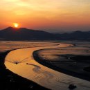 순천만습지 이미지