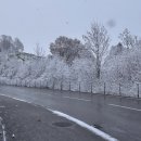 자동차마을카닥터 | 삿포로 비에이 마을, 렌트카 vs 버스 투어! 뭐가 더 좋을까? 비교 추천