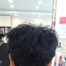 비땅기헤어 이미지