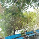 제주 서귀포 정방폭포 | 제주 서귀포 정방폭포｜바다로 떨어지는 폭포 (입장료·주차·소요시간)