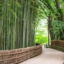 담양오방길5코스(누정길) 이미지