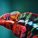 영렘브란트 미술학원 이미지