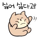 목동댄스아카데미