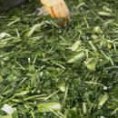 (주)열무 이미지