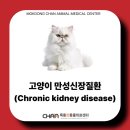 목동찬동물의료센터 이미지