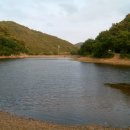 동훈이네농장 이미지