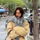 채정안 카카오 검색결과