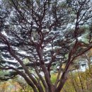 웅도둥둥바위펜션 이미지