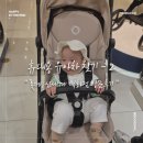 휴대용 유아차 구매하기ㅣ부가부 버터플라이, 스토케 요요3, 타보 레노 휴대용 유모차 비교