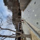 11620-14-38-9 | 치악산 국립공원 구룡자동차야영장 사이트 시설 후기입니다