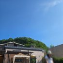 연천 애견펜션 쫑이와메리1호점 후기｜강아지 5마리와 11명이 다녀온 독채펜션