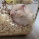 냠냠 - 마포구 성산동 | 냠냠