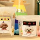 멍냥스푼 이미지