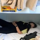 20240902_울릉도를 캠핑으로 다녀온 후기