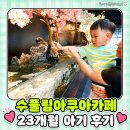 수풀림아쿠아카페 구리갈매점 상어카페 이색데이트 노원키즈카페 중랑키즈카페 23개월아기랑 방문 후기