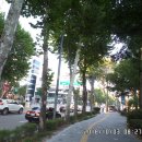 송파구 역사여행삼전도길 이미지