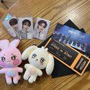 에이티즈 콘서트 영화 인천 cgv 랜덤 포토카드