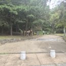 공산성남문길 이미지