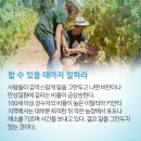 생활원예관리사 이미지