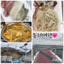 동해 &#34;묵호항&#34;에서 활어회센터 &#34;가미수산&#34;에서 식사 후 &#34;도째비골 해랑전망대&#34;산책후기