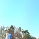 일로의원 | 용인 건강검진 센터 연세미래체크업의원 만족했던 남편 건강검진 후기