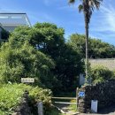 참조은마을 | 제주 조은 기록 : 제주 한림 브런치 카페 추천 새참 도시락 예약 후기