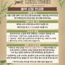 여행(2) - 필리핀보홀(망고보이쉐이크, 아이스아메리카노, 환전소, 다이아몬드레스토, 보홀랄라, 마사지샵)