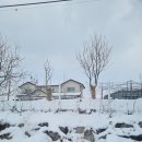 죽고경로당 이미지