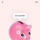 꽃돼지