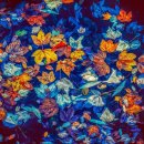 파란행정사 이미지