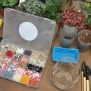 (원데이) 나만의 작은 숲, 테라리움 | 겨울 서울여행 테라리움 원데이클래스 해피에버애프터 : 작은 정원 만들기