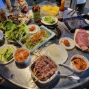 뒤늦은 여름 휴가 주저리 | 경남 합천 코스트코 음식파티 | 의령 찰비계곡 백숙 닭볶음탕 | 바베큐 소...