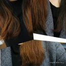 쟈르당헤어 크리닉