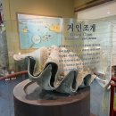 진도조가비전시장