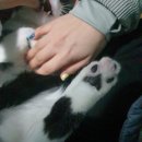 지에스25뉴군산경암점 이미지