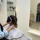수니네 강아지 미용실 | 광산구 미용실 어뉴살롱 손질 쉬운 레이어드 컷 대만족 후기